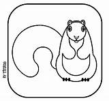 Squirrel Ii Coloring Coloringcrew sketch template