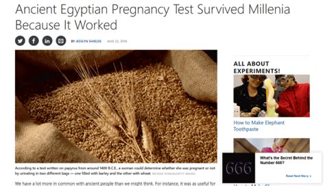 what is the surprising pregnancy test method using barley and wheat