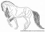 Andalusian Coloring Dressage Pixel Comments sketch template