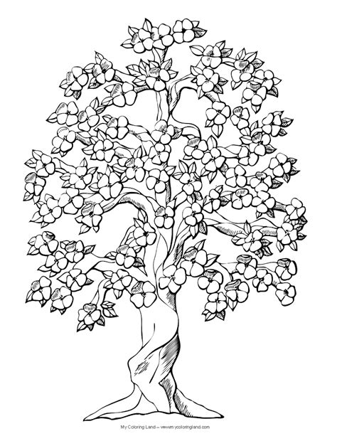 complex trees coloring pages