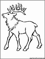 Elk Alce Rocky Gritando Coloringhome Hunting Tudodesenhos Buscando Puedes También Pintarcolorir sketch template