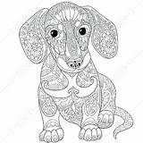 Coloring Pages Lps Dog Getcolorings Dachshund sketch template