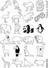 Zoologico Dyr Listy Afrikanske Jako Kde Tegninger Dschungeltiere Ausmalbild sketch template