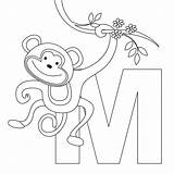 Coloring Pages Monkey Monkeys Printable Kids Cute Animal Letter Worksheets Simple sketch template