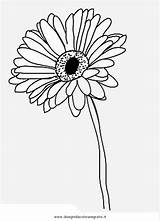 Gerbera Daisy Coloring Gerber Pages Drawing Getdrawings 860px 55kb Getcolorings Drawings Draw sketch template