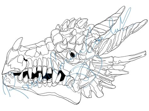 dragon skull coloring page digital  etsy skull coloring