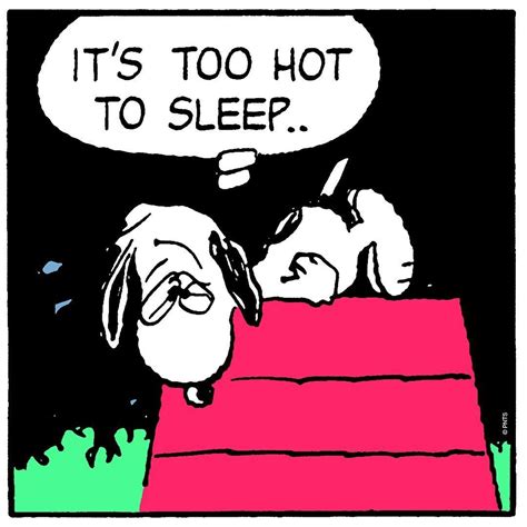 It S Too Hot To Sleep With Images Snoopy Funny Snoopy Quotes
