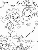Biene Bienen Lebah Malvorlagen Mewarnai Malvorlage Insekten Fiverr Draw Angebot öffnet Bildes Setzt sketch template
