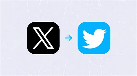 bringing   twitter bird   change   icon  twitter