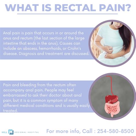 Ppt What Is Rectal Pain Powerpoint Presentation Free Download Id