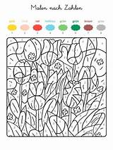Zahlen Nach Kindergarten Kinder Ostern Tulpen sketch template