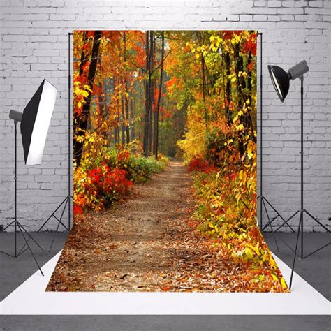 buy vinyl photography backdrop xft autumn deciduous landscape fall forest