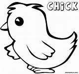 Chick Coloring Pages Colorings Print sketch template