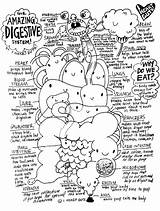 Digestive Guts Physiology Trace Rectum Organs Muscles Iheartguts Preschoolers Endocrine Coloringhome Koibana sketch template