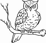 Coloring Kids Pages Owl Mewarnai Burung Hantu Dari Disimpan sketch template