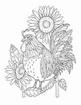 Rooster Sunflowers sketch template