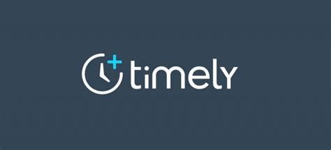 timely   time tracking app    efficient