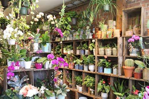 The Best Eco Friendly Flower Shops In Toronto Now Magazine