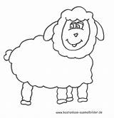 Schaf Schafe Ausmalbilder Ausmalbild Malvorlage Tiere Kinderbilder Vorlage Auszudrucken Klicke Thema sketch template