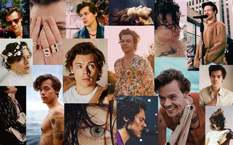 Harry Styles Kittens 👉👌Британский певец Гарри Стайлз стал