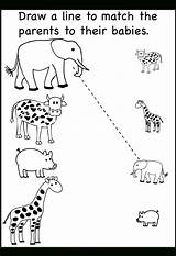 Worksheets Printable Year Olds Preschool Animals sketch template