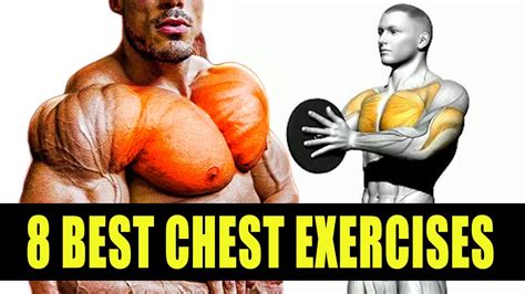 how to build your chest fast 8 best chest exercises youtube