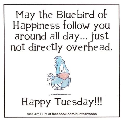 Happy Tuesday Funny Quotes Quotesgram