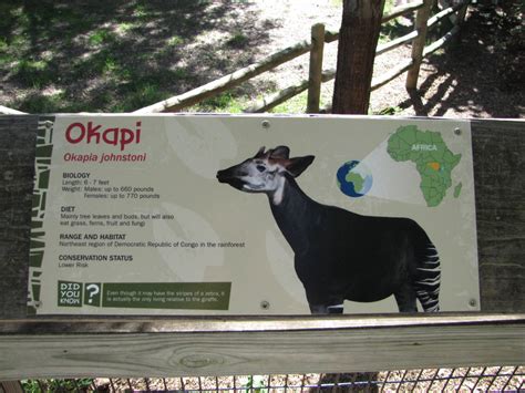 henry doorly zoo  okapi exhibit signage zoochat