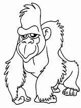Coloring Pages Drawing Apes Gorilla Kids Face Pig Printable Drawings Ape Head Animals Color Animal Print Jungle Two Cartoon Gordo sketch template
