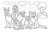 Kleurplaat Kleurplaten Ausmalbilder Hund Hond Purebred Honden Kado Dieren Perros Makkelijk Psy Raza Hunden Moeilijke Rasowe Gratis Realizan Printen Izakowski sketch template