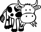 Cow Pages Outline Coloring Printable Farm Animal Grass Baby Eating Cows Kids Cartoon Animals Funny Face Cute Sheets Choose Board sketch template