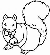 Squirrel Coloring Pages Animals sketch template