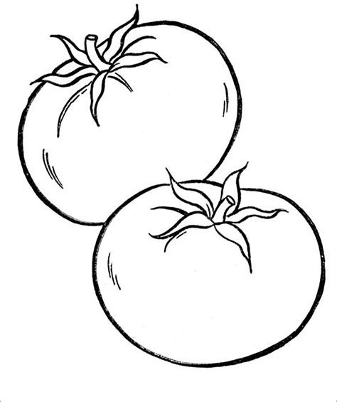 tomatoes coloring pages coloring home