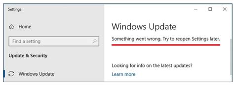 windows update   wrong   reopen settings   windows