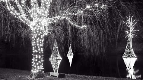 usual christmas lights black  white picture  flickr