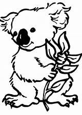 Koala Koalas Colorier Ausdrucken Clker Colorluna Ad3 Rating sketch template