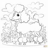 Poodle Supercoloring Sheet sketch template
