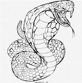 Snake Viper Coloring Sketch Template Sketches sketch template