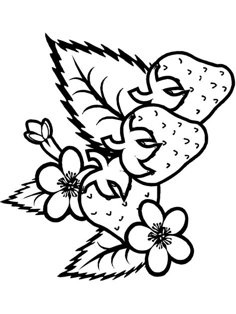 summer  coloring pages coloring home