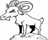 Goats Cabras Ziege Ausmalbild Mwb sketch template