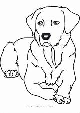 Hunde Crockett Tweety sketch template