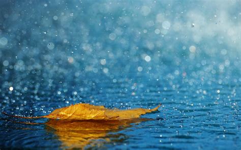 falling rain flickr blog