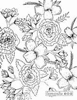 Coloring Floral Pages Adult Books Book Favecrafts Colored sketch template