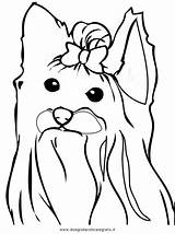 Coloring Pages Yorkie Terrier Drawing Dog Female Line Puppy Beautiful 1e45 Yorkshire Printable Color Highland West Getcolorings Print Getdrawings Cartoon sketch template