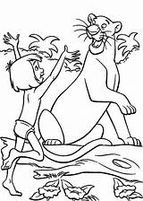 Jungle Dschungelbuch Ausmalbild Kaa Bagheera Colorare Malvorlagen Mowgli Disegni Mogli Ausdrucken Coloringhome Dschungel Raskrasil Mal Baloo Shere Zeichnungen выбрать доску sketch template