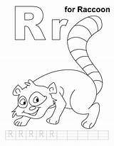 Raccoon Coloring Pages Letter Practice Alphabet Color Handwriting Preschool Printable Worksheets Kids Learn Will Print Information Toodler Write Reading Activities sketch template