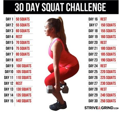 squats 30 day squat challenge squat challenge 30 day squat images