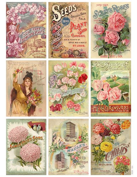 jodie lee designs  printable  vintage seed packet cards