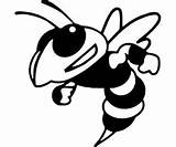 Yellow Jacket Clipart Mascot Tech Georgia Hornet Clip Decal Bee Outline Wasp Jackets Cliparts Silhouette Witness Football Svg Library Downloads sketch template
