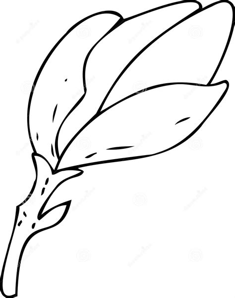 magnolia coloring pages coloring cool
